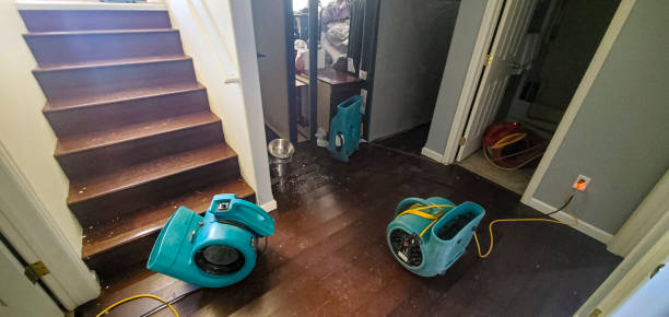 Best Ceiling water damage repair  in Boonville, CA