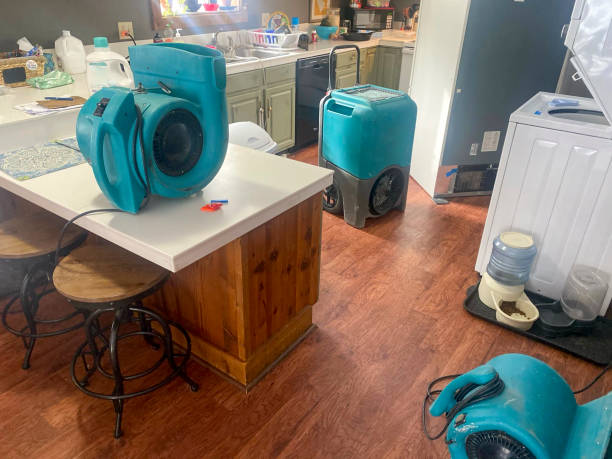 Water damage restoration experts in CA
