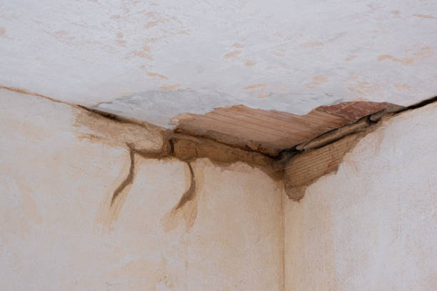 Best Flooded house restoration  in Boonville, CA