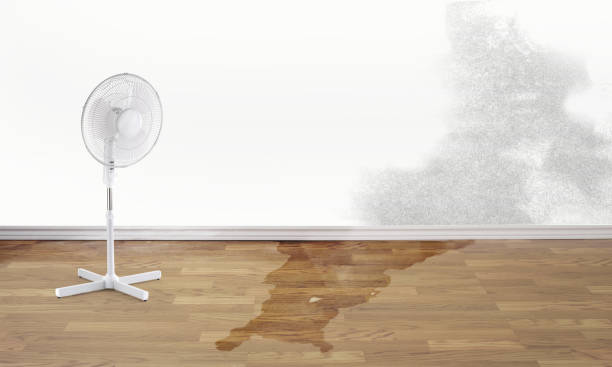 Professional Water damage restoration in CA