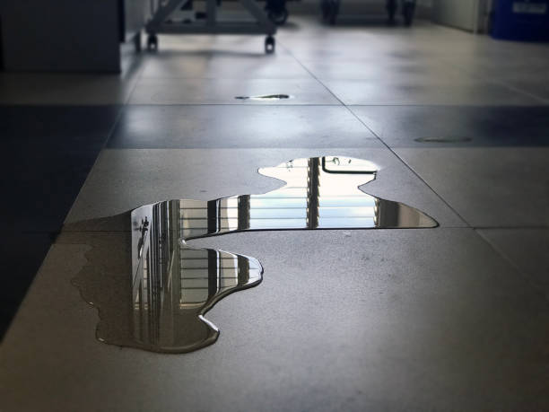Best 24-hour water damage restoration  in Boonville, CA