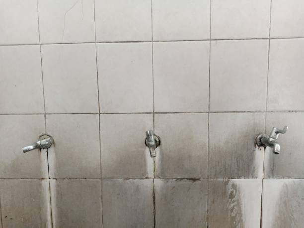Best Carpet water damage restoration  in Boonville, CA
