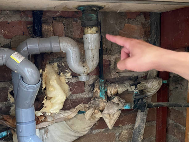 Best Local water damage restoration  in Boonville, CA