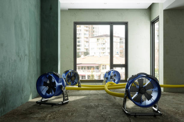 Best Ceiling water damage repair  in Boonville, CA
