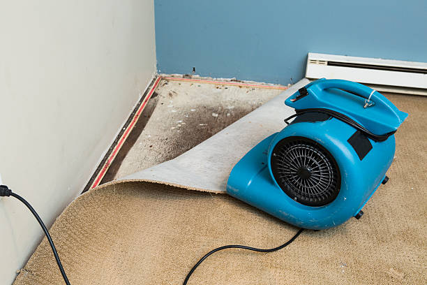 Best Flood restoration services  in Boonville, CA